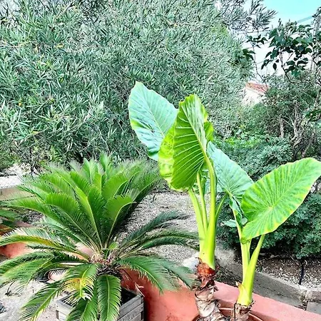 Les Orangers - Piscine - 15mn - 5 Kms Vila Six-Fours-les-Plages