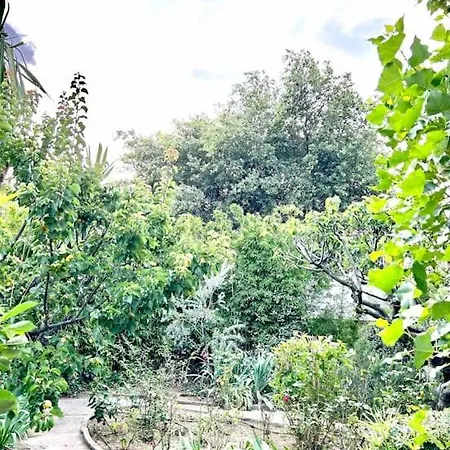 Vila Les Orangers - Piscine - 15mn - 5 Kms *